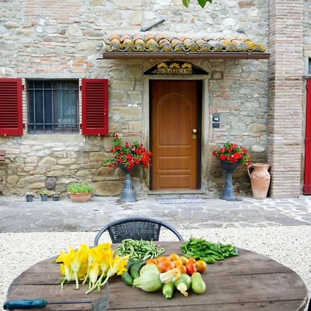 Casa Donella B&B Gricignano Luaran gambar